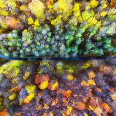 Aufkleber - Aerial drone view over beautiful autumn forest landscape. Colourful trees in the wood.