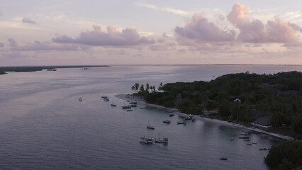 Wall Mural - Aerial view flying over tropical island beach, with coconut palm trees and boats at sunset