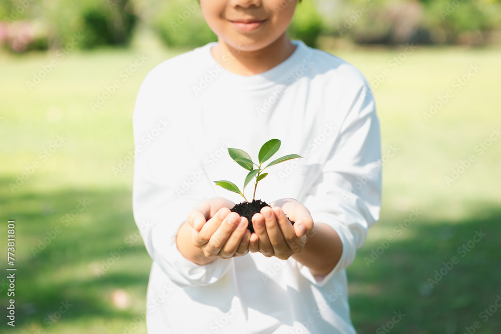 Promoting eco awareness on reforestation and long-term environmental ...