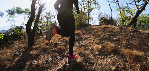 Sticker - Fitness asian woman running on trail at sunrise tropical forest in winter