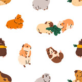Fototapeta Pokój dzieciecy - Seamless pattern, cute guinea pigs. Funny kawaii cavies, endless background, texture. Adorable animals, pets, repeating print design for fabric, wrapping, textile. Kids flat vector illustration