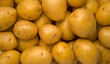 Young potato top view background