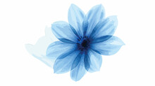 Blue Flower On White Background. Flat Vector