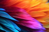 Fototapeta Desenie - ultra close-up view of a beautiful hyperdetailed texture bird multicolored feather