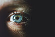 Close up of a grownup human eye, eyeball, iris, pupil, blue eyes. Man, woman. Dark background, copy space.
