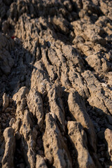 Wall Mural - Limestone pavemant on the island of Pag