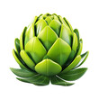 a green artichoke with leaves