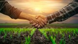 Fototapeta  - Workers shake hands against the background of a field sown with green shoots of young wheat.
