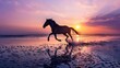 a horse running on a beach