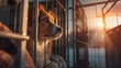 © JovialFox - Lonely helpless mongrel homeless dog abandoned and new owner between steel cages in animal shelter. Help to pets and adoption animals, friendship and human kindness concept image.