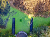 Fototapeta Morze - Aerial view from the top of the landscape, trees, green lake, marsh, rushes, wooden footbridge.