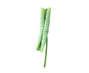 Wall Mural - Isolated waterlily or lotus leaf with clipping paths.	