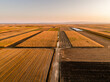 Aerial view of farmland with diverse crops during sunset creating a warm, tranquil scenery