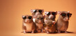 Creative animal concept. Group of mouse mice friends in sunglass shade glasses isolated on solid pastel background, commercial, editorial advertisement, copy text space	
