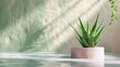 © arhendrix - This composition elegantly displays an Aloe vera plant beside a podium in water, setting a tranquil and natural backdrop, perfect for highlighting the purity and effectiveness of natural cosmetics