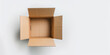 Carton open box. Parcel packaging. White background with copy space.
