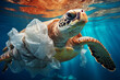A Loggerhead sea turtle, a vertebrate reptile, is seen swimming underwater in the ocean with a plastic bag on its back. This marine organism navigates through the fluid environment of the sea
