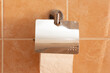 Hinged toilet paper with cover on marble wall