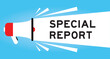 Color megaphone icon with word special report in white banner on blue background