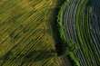 Aerial View of Textured Agricultural Fields
