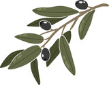 Fototapeta Boho - Olive branch, easter element, boho vector
