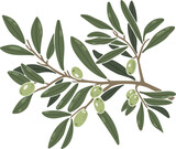 Fototapeta Boho - Olive branch, easter element, boho vector