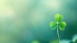 A single vibrant green four-leaf clover against a soft, bokeh background creating tranquil and fresh feeling
