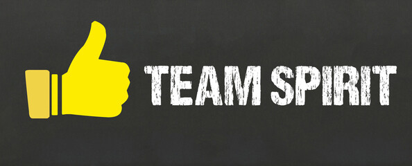 Poster - Team Spirit	