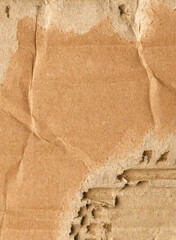 Wall Mural - Paper cardboard crumpled texture background