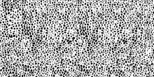 Seamless Pattern With Wild Skin, Fur Texture. Cat, Leopard, Giraffe Fur. Dots, Spots, Stains. Grunge Black Endless Pattern.