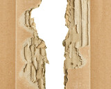 Fototapeta Łazienka - Crumpled package cardboard ripped isolated on white background
