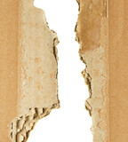 Fototapeta Kwiaty - Crumpled package cardboard ripped isolated on white background
