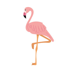 Wall Mural - pink flamingo in flat style on white background 