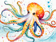 a cute colorful octopus drawn，octopus illustrations