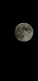 Fototapeta  - Vertical shot of the full moon in the dark black sky