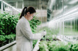 © ADDICTIVE STOCK - Side view of caucasian female scientist examining plants in lab. Generative AI