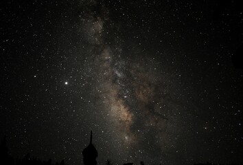 Wall Mural - Low angle view of a starry night sky