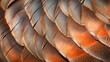 The close-up photo shows the gold-orange feathers in incredible detail, revealing their delicate structure