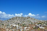 Fototapeta Konie - Chalki-Halki -Griechische Insel