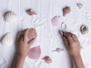 Wall Mural - little girl holding sea shells on white sand. Sea summer vacation background . Top view