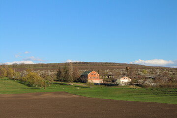 Wall Mural - A road with grass and trees and a house in the background