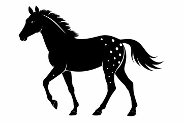 Wall Mural -  Appaloosa horse silhouette black vector illustration