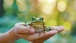 A green frog calmly resting on a human hand, with soft-focus background of warm bokeh lights
