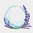 Lavender flowers with water splash isolated on transparent background. Frame template. Stock vector illustration