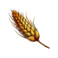 Wall Mural - wheat ears spikelets with grains