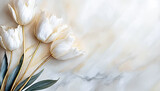 Fototapeta Tulipany - Białe tulipany. Jasne tło, puste miejsce