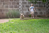 Fototapeta Do pokoju - Having fun with dog outdoor