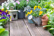 pretty colorful flowers blooming  and arranged on part of wooden terrace with decorative flower pots and lantern