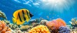  coral reef with butterflyfish in foreground, sunburst behind