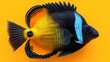   A detailed view of a black-and-yellow fish with a blue lateral stripe on its head